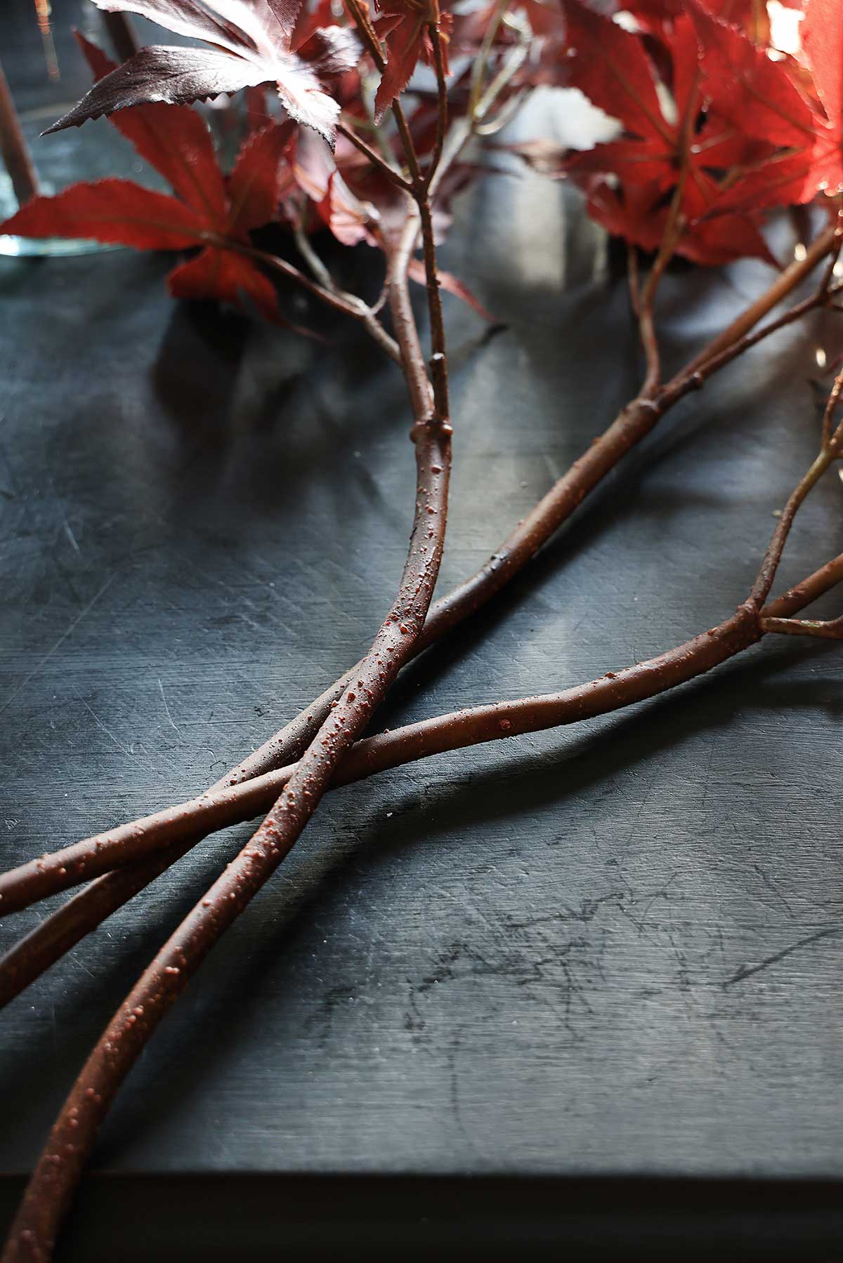 Realistic plant stems