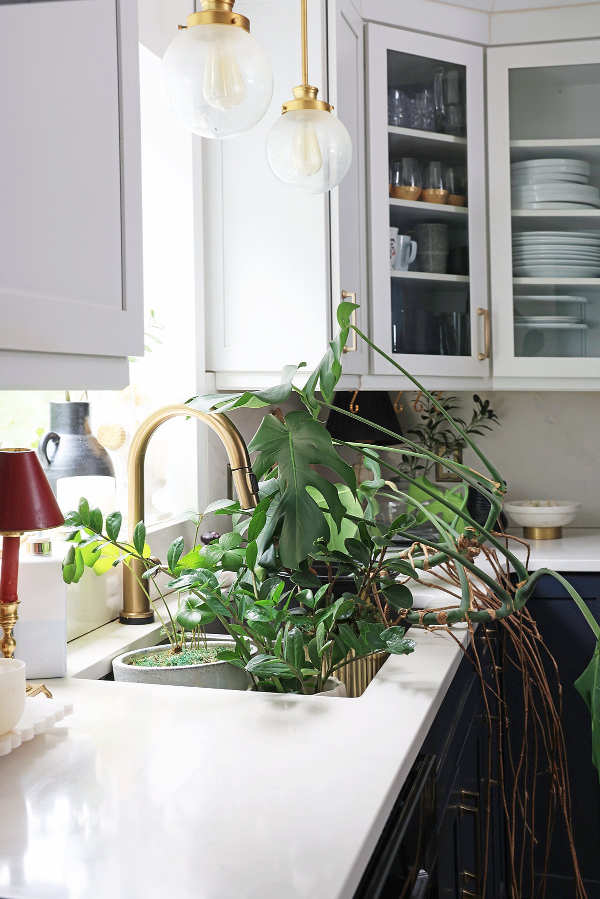 Houseplants in a kitchen sink