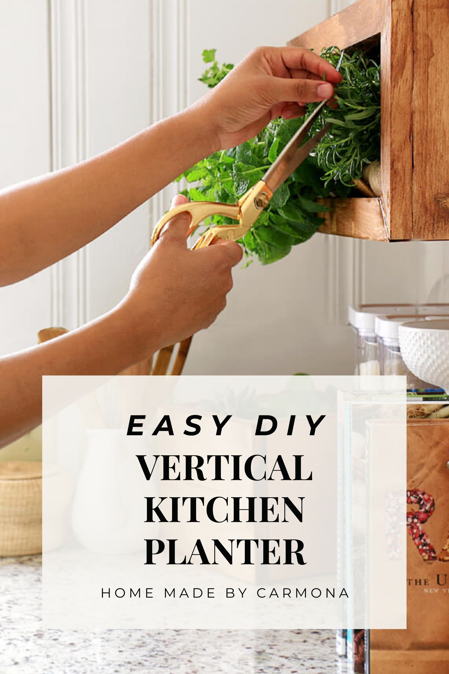 DIY Kitchen Planter