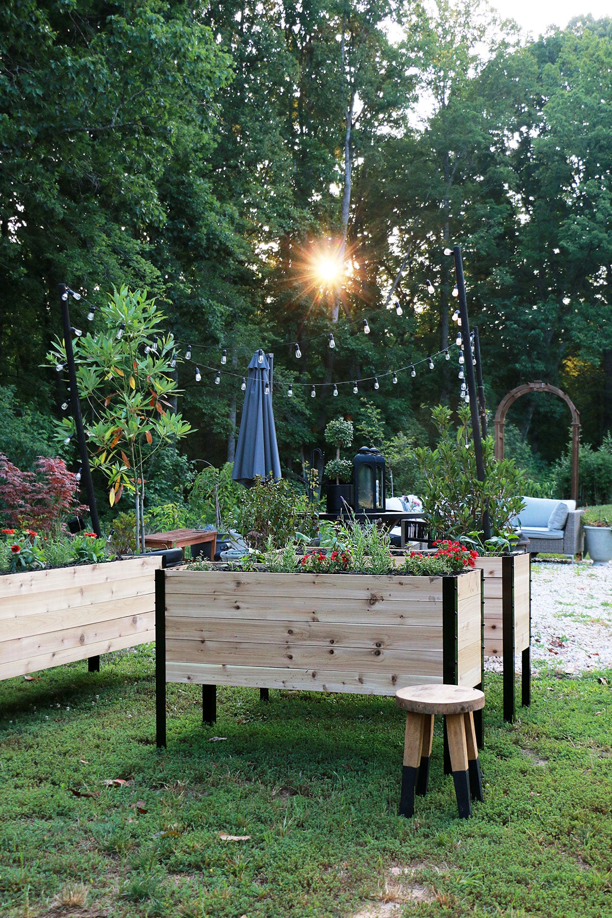 Raised garden beds near a gravel patio with string lights overhead