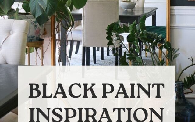 Black Paint