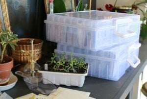 My favorite seed storage solution