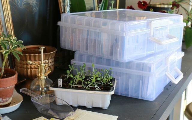 My favorite seed storage solution